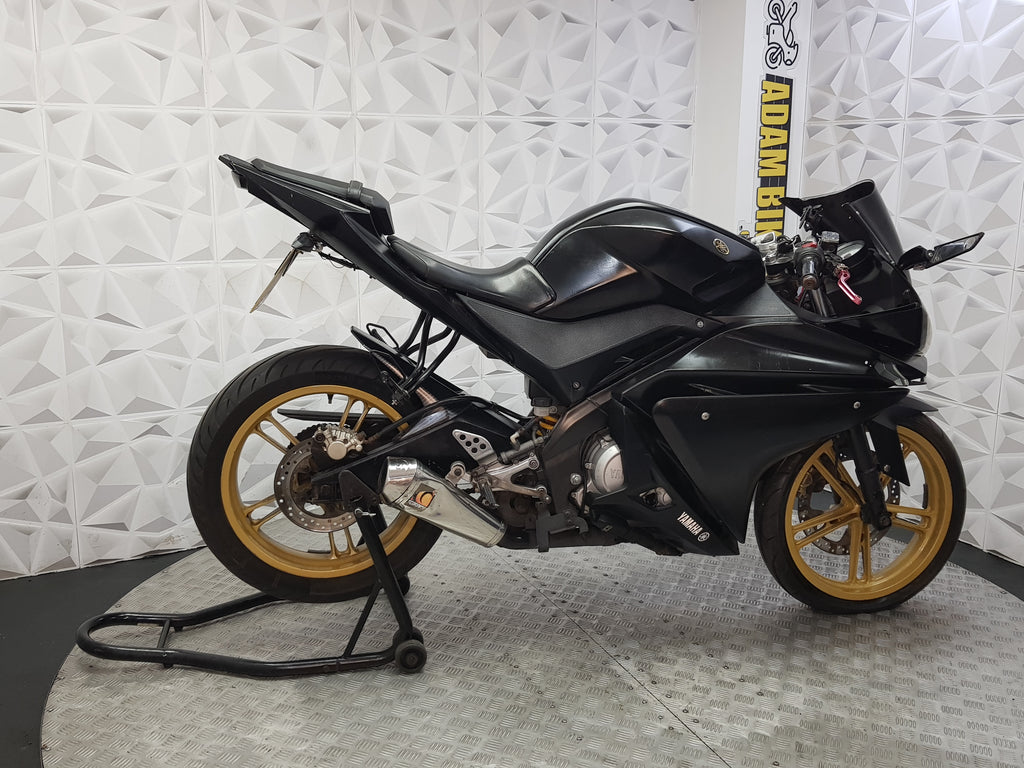 2009 Yamaha YZF-R125