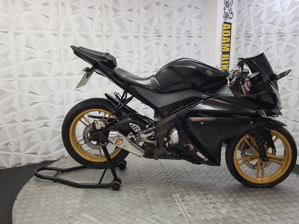 2009 Yamaha YZF-R125