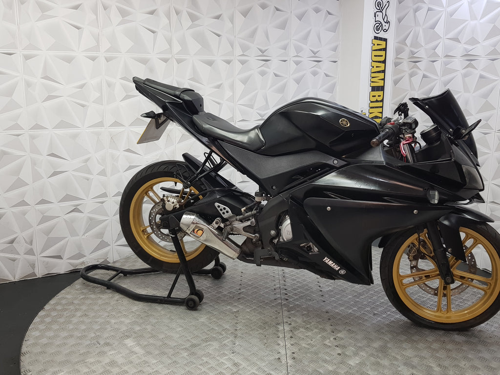 2009 Yamaha YZF-R125