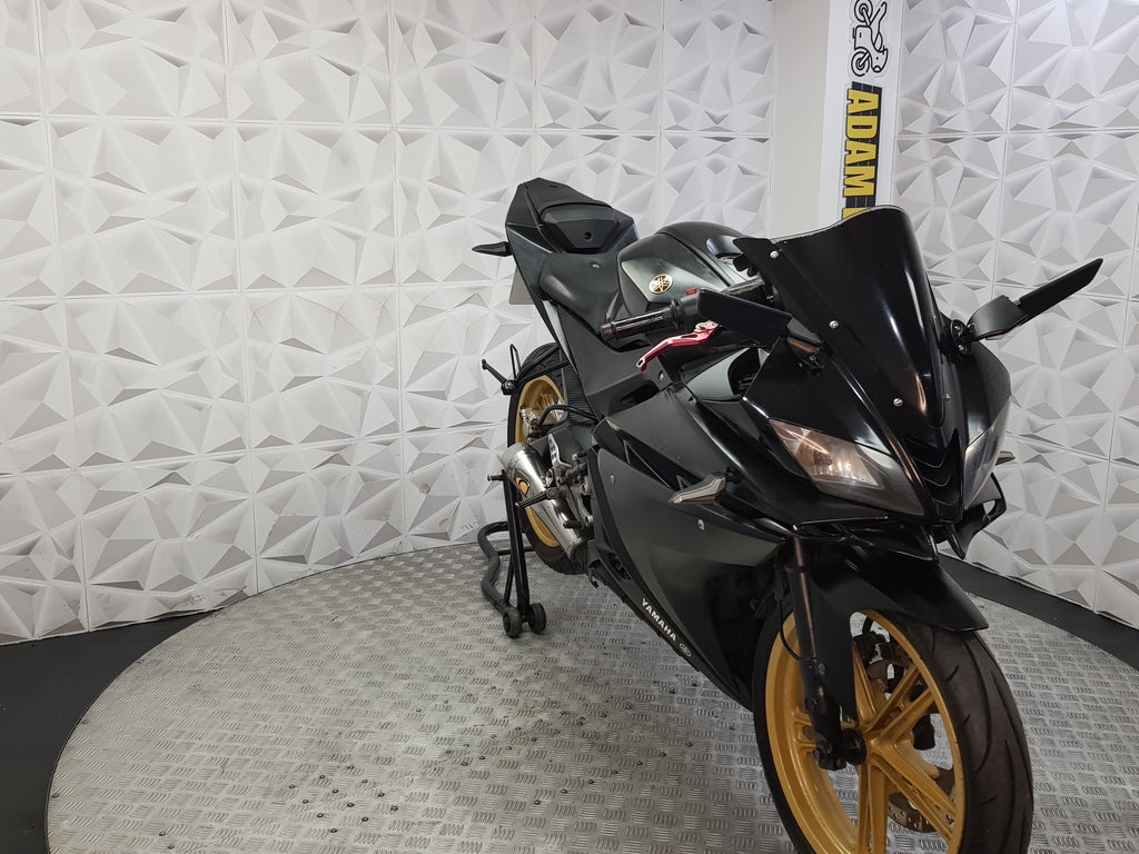 2009 Yamaha YZF-R125