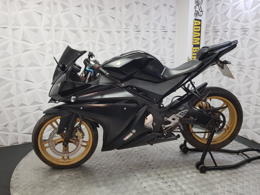 2009 Yamaha YZF-R125