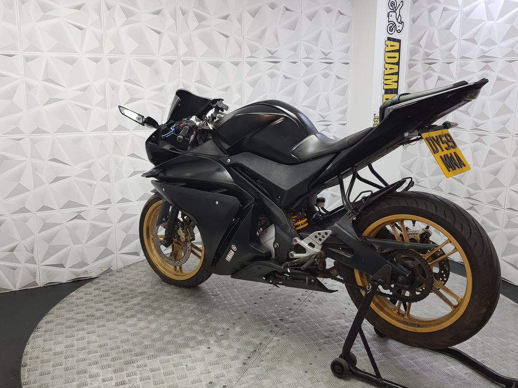 2009 Yamaha YZF-R125
